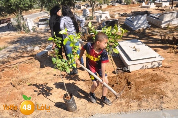 ashjar taso 0328 (17).JPG